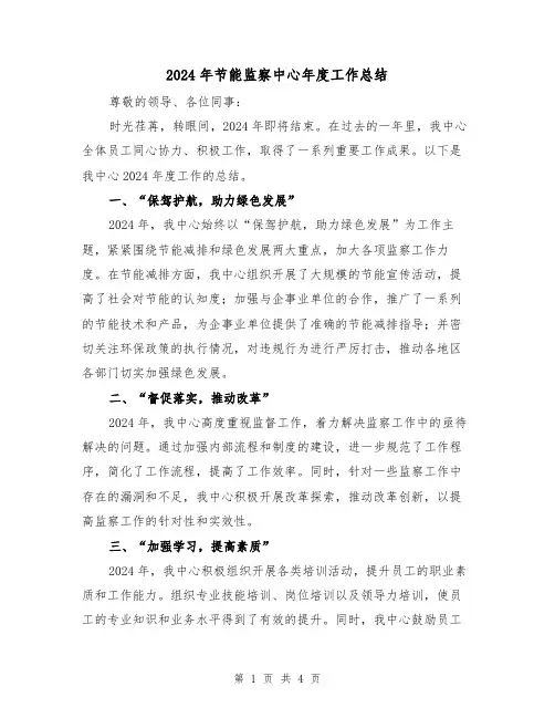2024年节能监察中心年度工作总结（2篇）