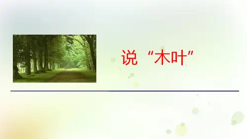 《说“木叶”》PPT教学课件