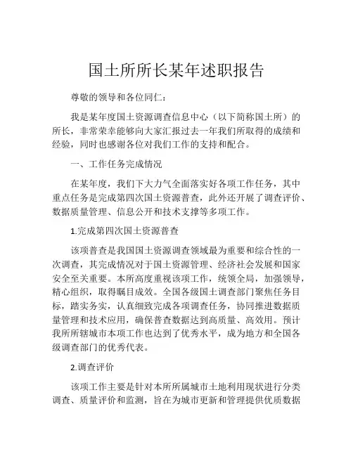 国土所所长某年述职报告