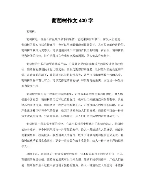 葡萄树作文400字