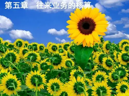 第五章 往来业务的核算3 84页PPT文档