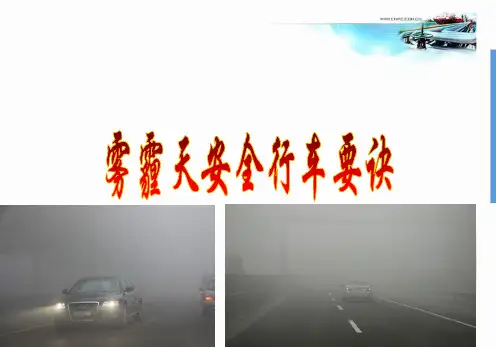 安全经验分享雾天雪天安全行车要诀