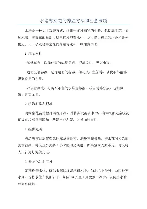 水培海棠花的养殖方法和注意事项