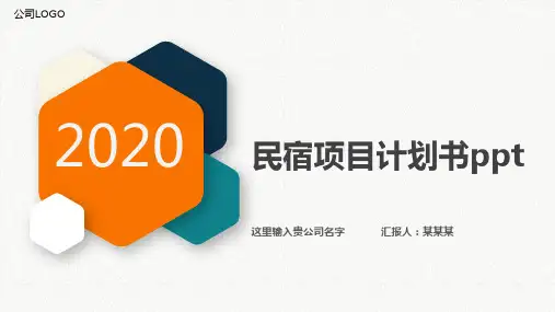 民宿项目计划书ppt