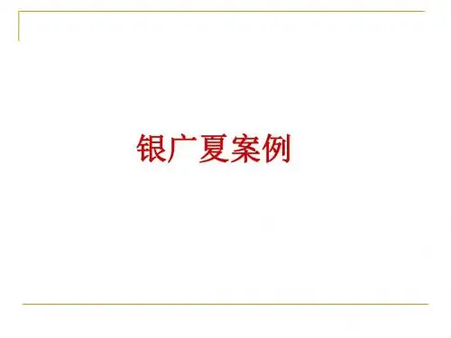 银广夏案例分析