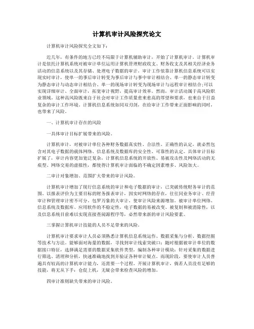 计算机审计风险探究论文