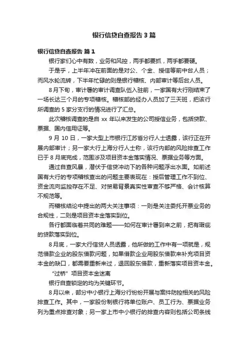 银行信贷自查报告3篇