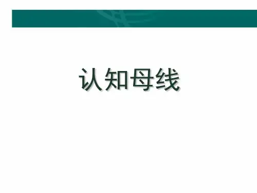 认知母线_精品文档