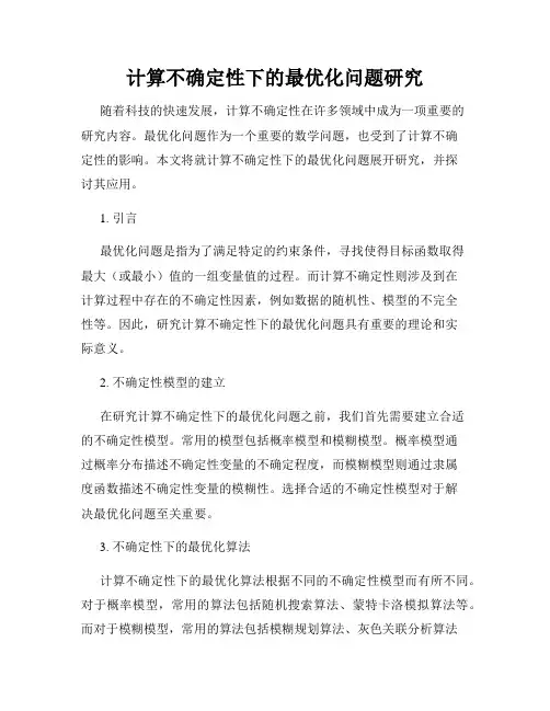 计算不确定性下的最优化问题研究