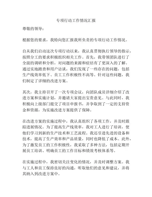 专项行动工作情况汇报