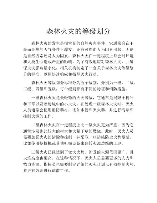 森林火灾的等级划分