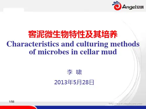 窖泥微生物特性及其培养