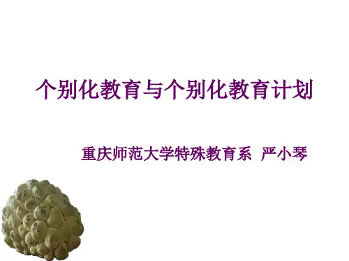 个别化教育与个别化教育计划