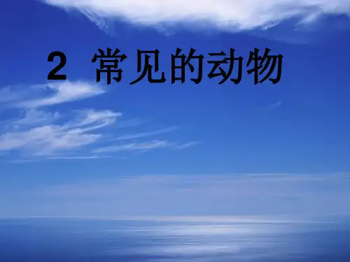 常见的动物