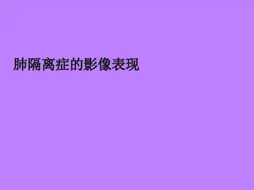肺隔离症的影像表现