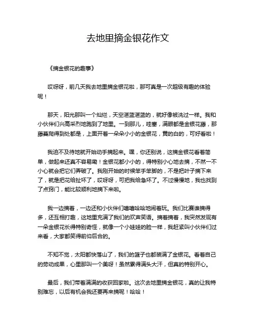 去地里摘金银花作文