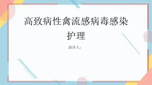 高致病性禽流感病毒感染护理PPT