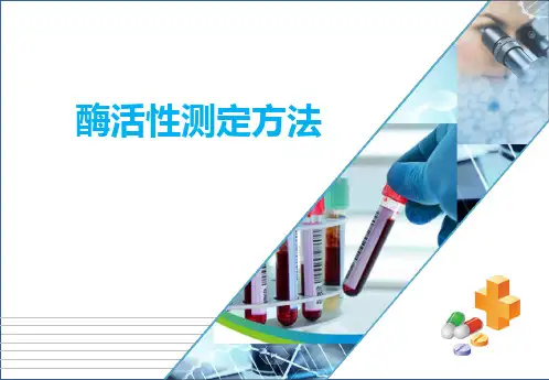 生化基础物质检测—酶活性检测