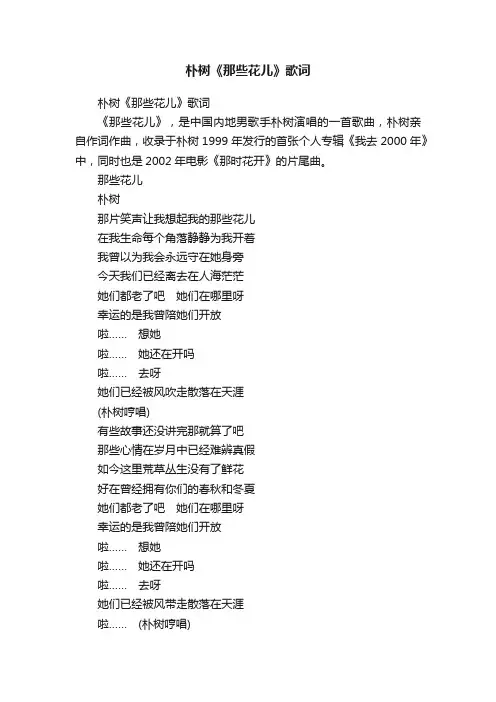 朴树《那些花儿》歌词
