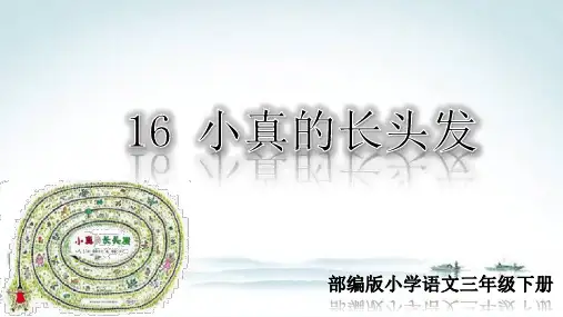 部编人教版三年级语文下册《16 小真的长头发》精品公开课优质课件