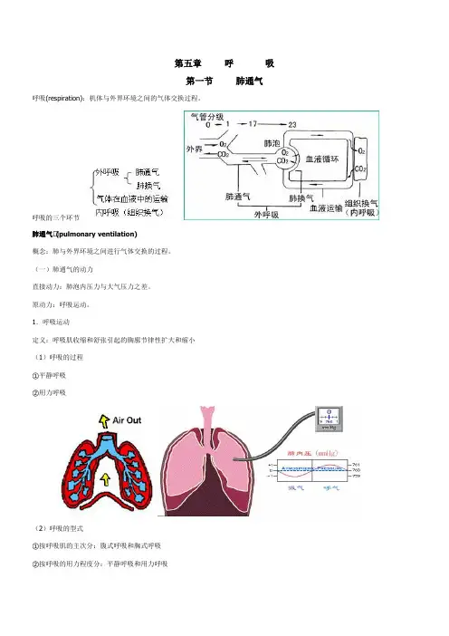 《生理学》第五章  呼吸笔记教案