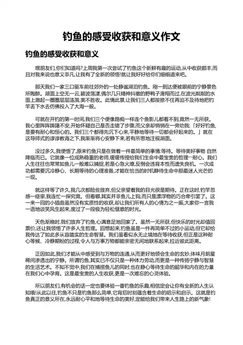 钓鱼的感受收获和意义作文