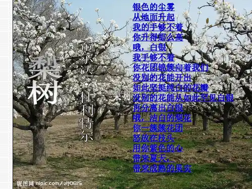 人教版六年级上册语文诗歌单元 诗海拾贝