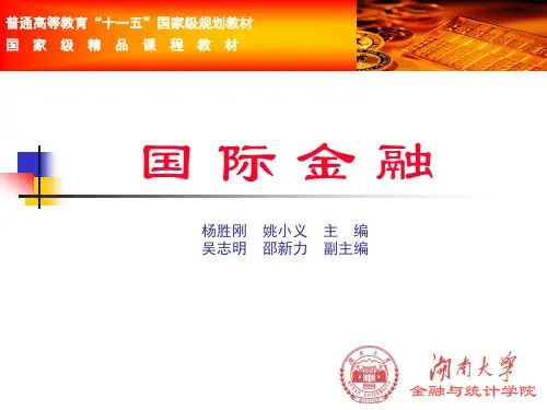 杨胜刚版国际金融第八章
