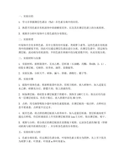 色素分离实验报告