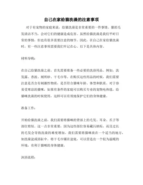 自己在家给猫洗澡的注意事项
