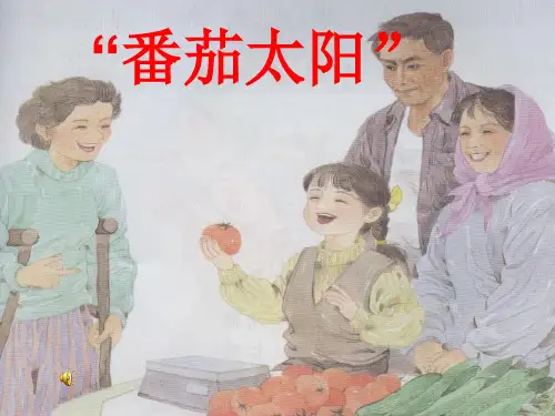 四年级下册语文课件12.“番茄太阳”_苏教版 (共14张PPT)