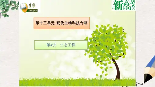 全国卷地区专用2018高考生物总复习第十三单元现代生物科技专题第4讲生态工程课件