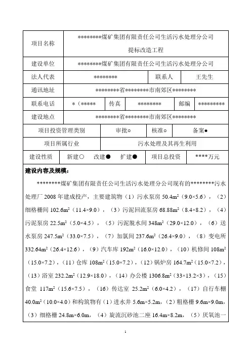 污水处理节能报告表