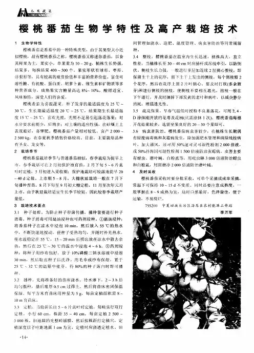 樱桃番茄生物学特性及高产栽培技术