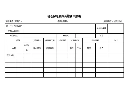 社会保险费综合缴费申报表 (1)