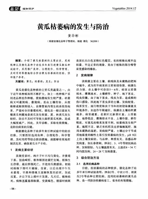 黄瓜枯萎病的发生与防治