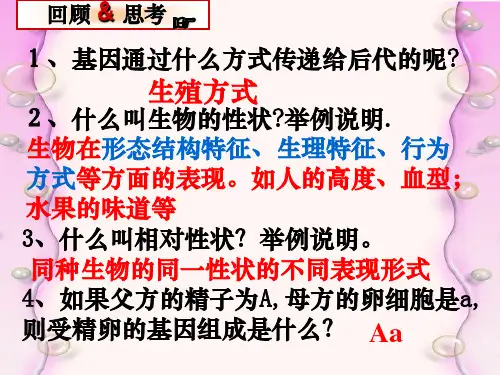 基因的显性和隐性PPT课件