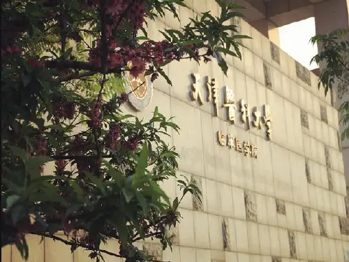 下肢动脉硬化闭塞症护理查房
