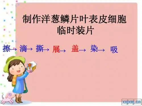 生物实验步骤及重点