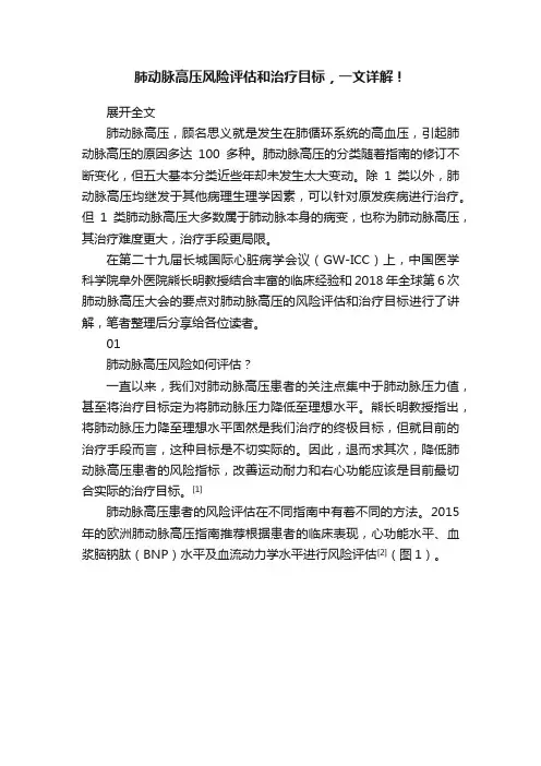 肺动脉高压风险评估和治疗目标，一文详解！