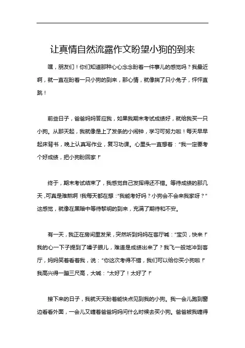 让真情自然流露作文盼望小狗的到来