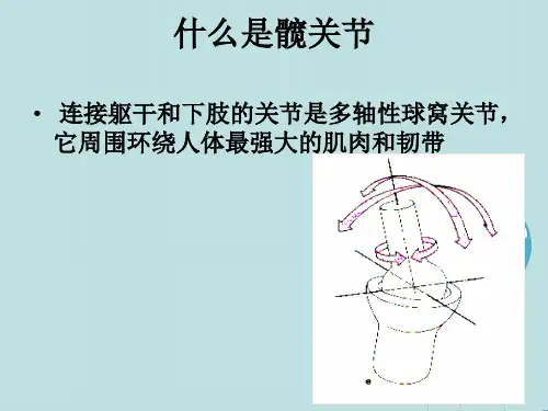 人工髋关节置换术的护理PPT课件