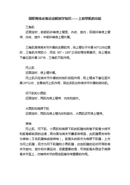 国职教练必备运动解剖学知识——上肢带肌的功能