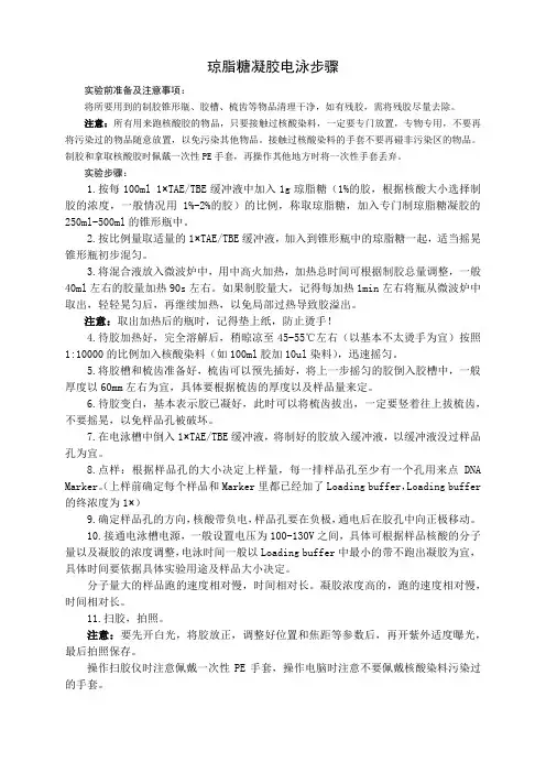 琼脂糖凝胶电泳步骤