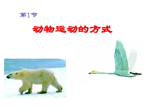 北师大版初中生物八上第五单元15.1《动物运动的方式》课件(共27张PPT)