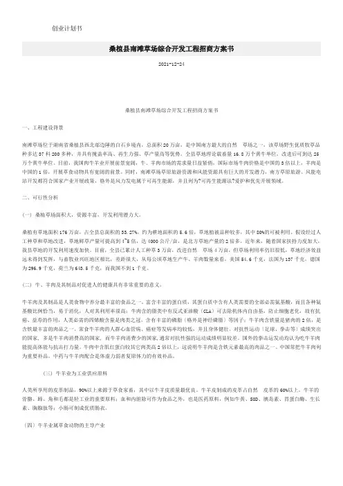 桑植县南滩草场综合开发项目招商项目计划书