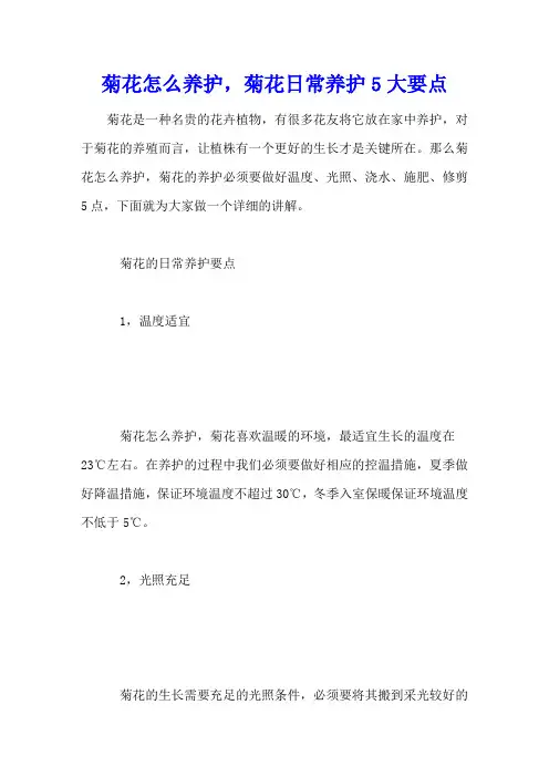 菊花怎么养护,菊花日常养护5大要点