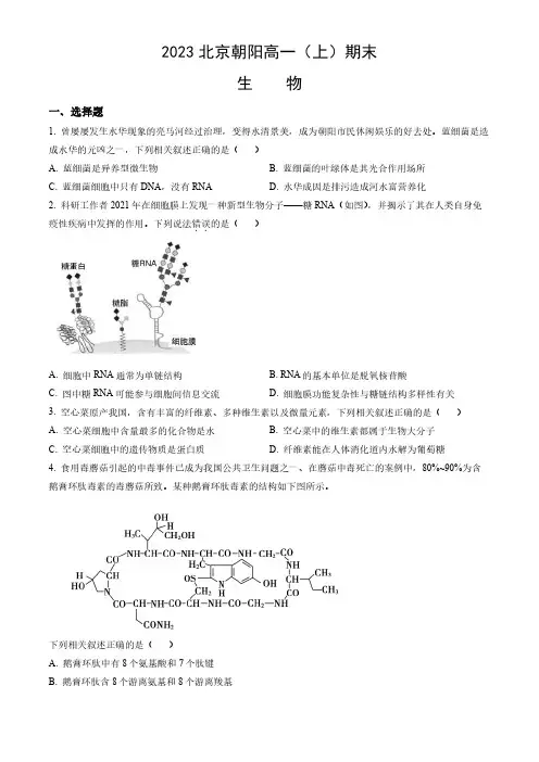 2023北京朝阳区高一(上)期末生物试卷及答案