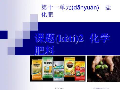 《化学肥料》盐化肥PPT课件4