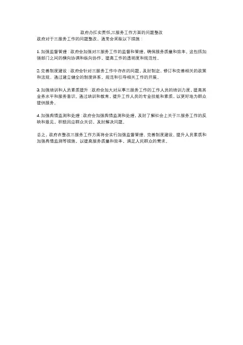 政府办扛实责任,三服务工作方面的问题整改